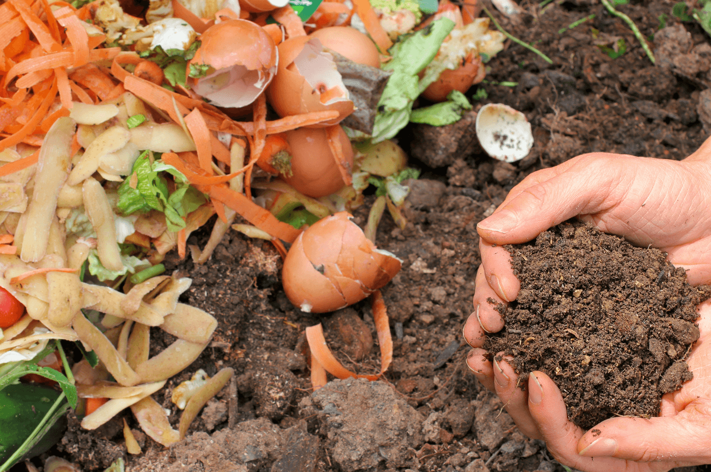 Comment réussir son compost: les erreurs à éviter