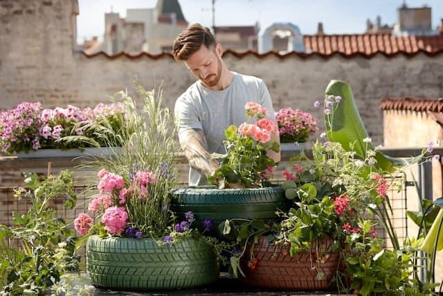 Homme plantant des fleurs