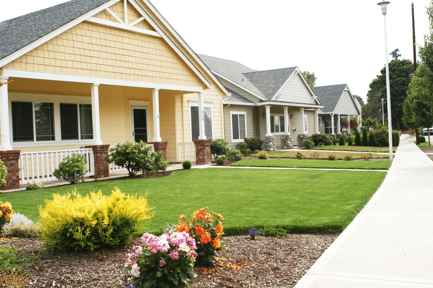 Image vedette de l'article