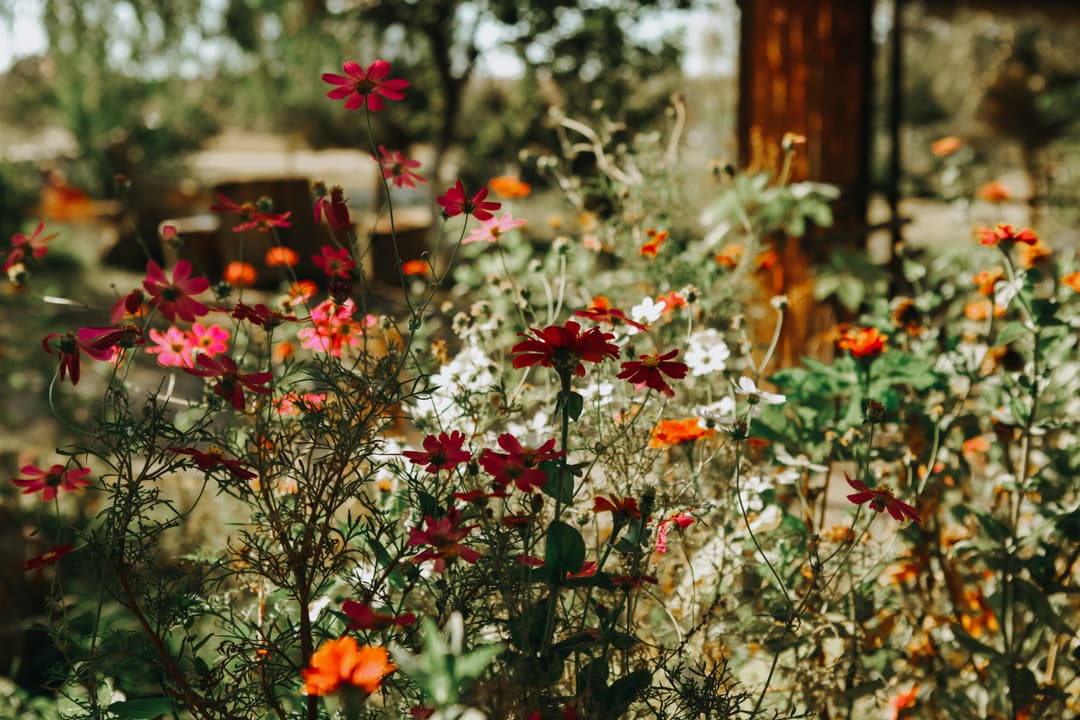Quel emplacement choisir pour son jardin ?